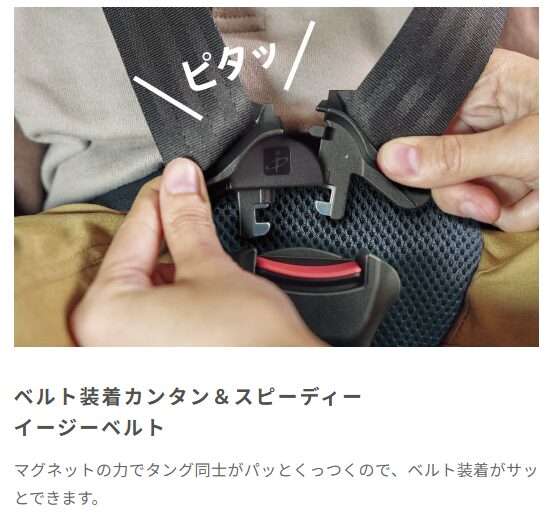 イージーベルト